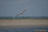 En baie de somme