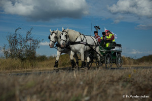 Route-du-poisson-2936.jpg