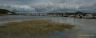 Le hourdel : le port