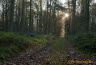Automne
