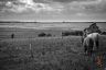 La baie de somme