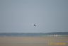 Avec vue sur baie de somme