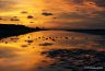 La baie de Somme