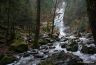 Cascade de Tendon (Vosges)